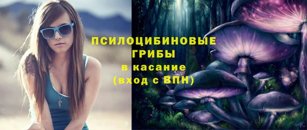 СК Елизово